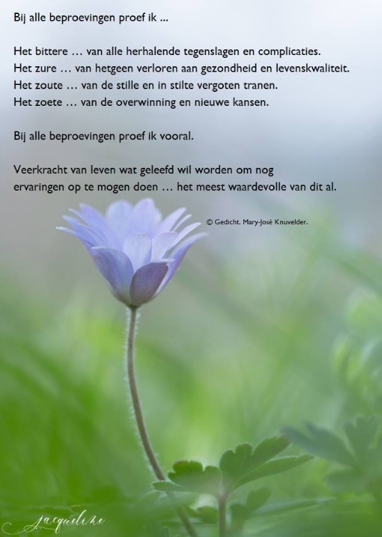 beproevingen-gedicht